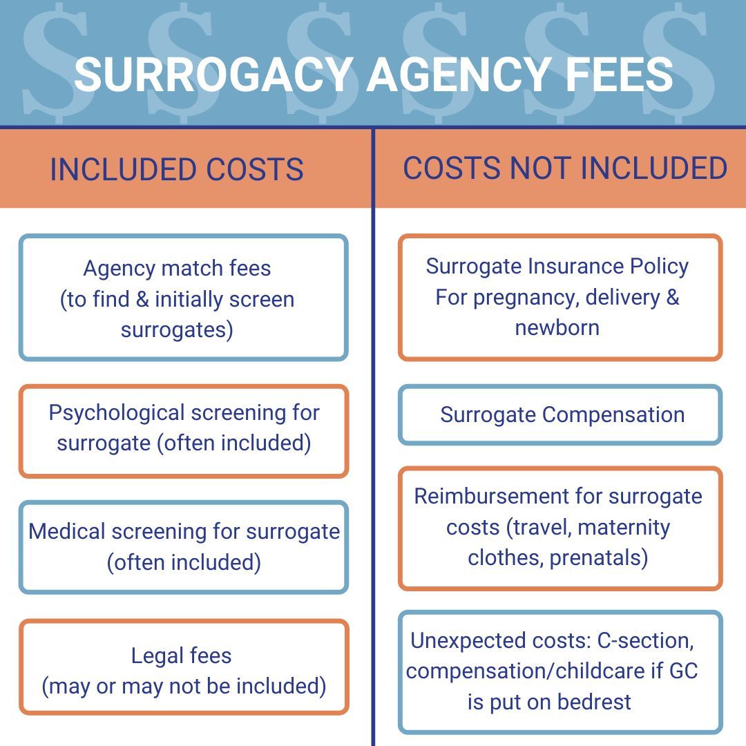 Your Guide to Surrogacy Costs
